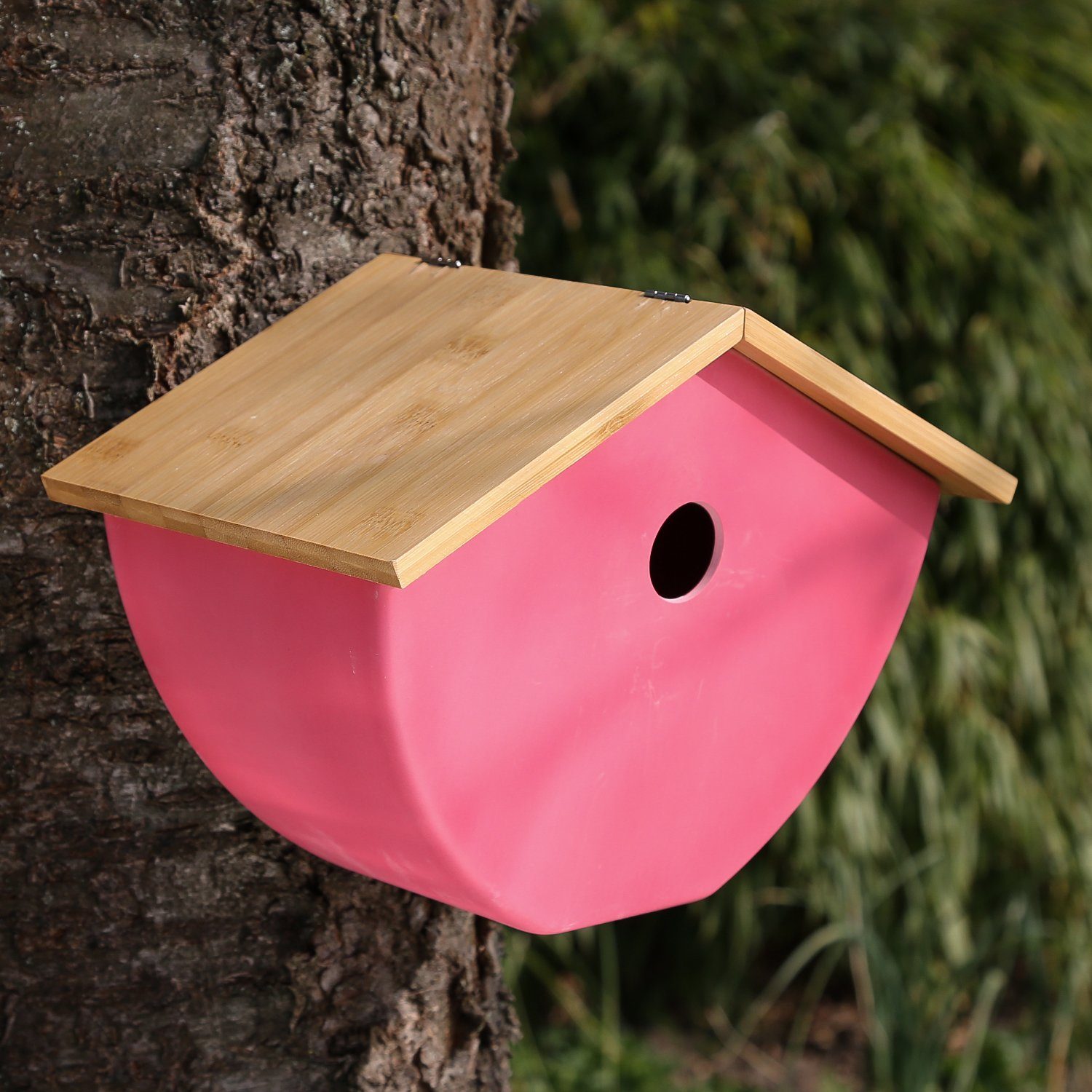 MARELIDA Vogelhaus Brutkasten Bambus Vogel Nisthöhle Nistkasten pink Vogelhäuschen