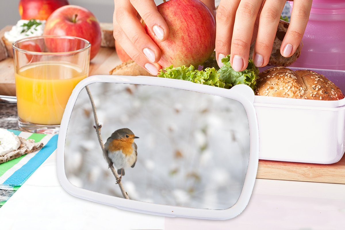 MuchoWow Vogel Erwachsene, (2-tlg), und Lunchbox für Kunststoff, und Kinder Rotkehlchen Brotdose, Mädchen - Winter, für - weiß Jungs Brotbox