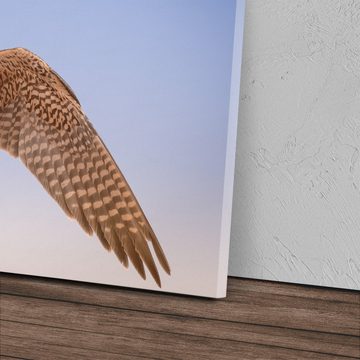 Sinus Art Leinwandbild 120x80cm Wandbild auf Leinwand Falke Falkenjagd Dubai Raubvogel Greifv, (1 St)