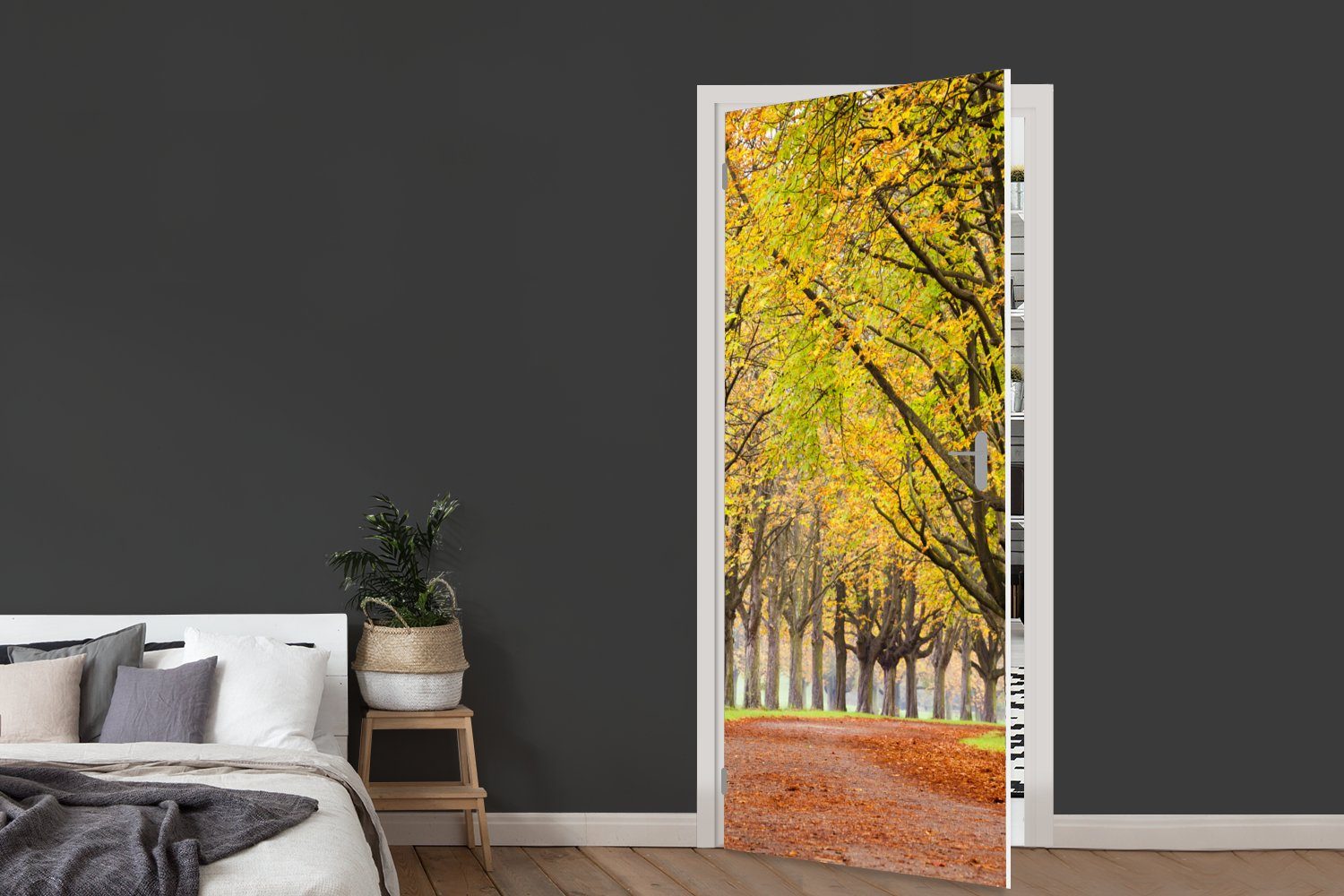 MuchoWow Türtapete Matt, Kastanienbäume im Tür, Herbst, St), Türaufkleber, bedruckt, Fototapete für cm (1 75x205