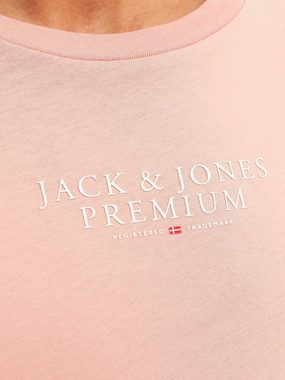 Jack & Jones Rundhalsshirt JPRBLUARCHIE TEE CREW NECK