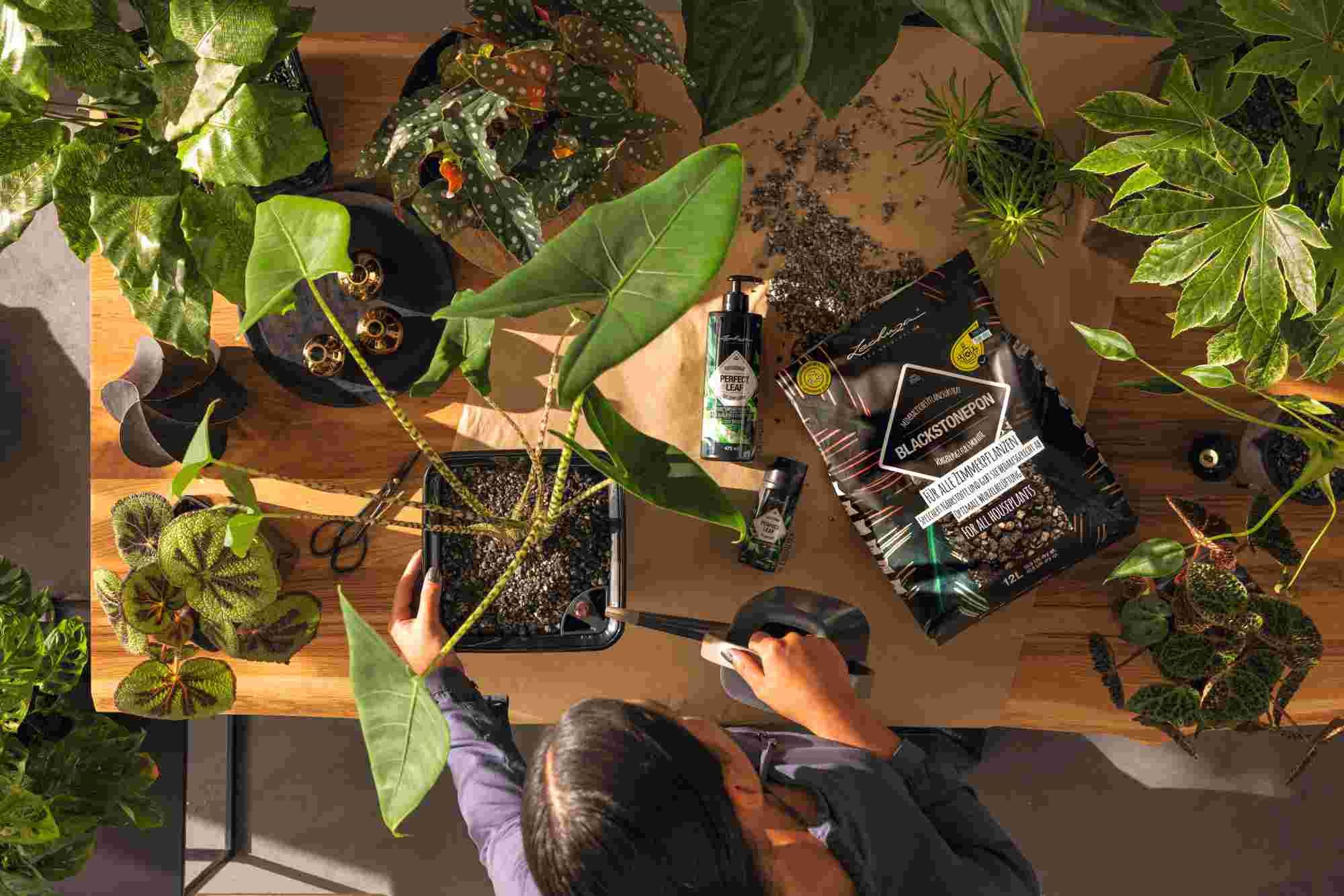 Lechuza® Spezialerde Lechuza Substrat Blackstonepon 12L vorgedüngt 19556