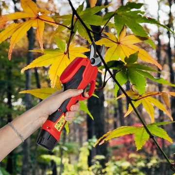 ONVAYA Akku-Astschere Elektrische Gartenschere mit Teleskopstiel, Akku Astschneider