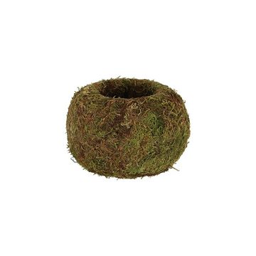 Rivanto Blumentopf, Kokedama Kugel aus Moos Größe M, Durchmesser 14.5 x 10 cm