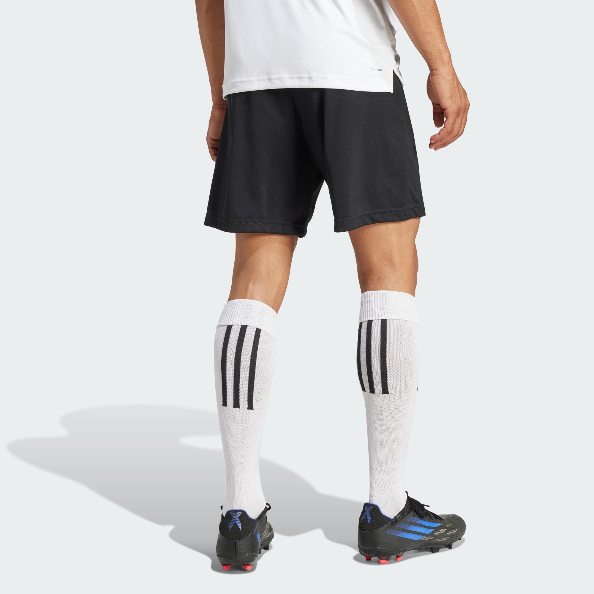 adidas Performance Sweatshorts ENTRADA 22 SHORTS günstig online kaufen