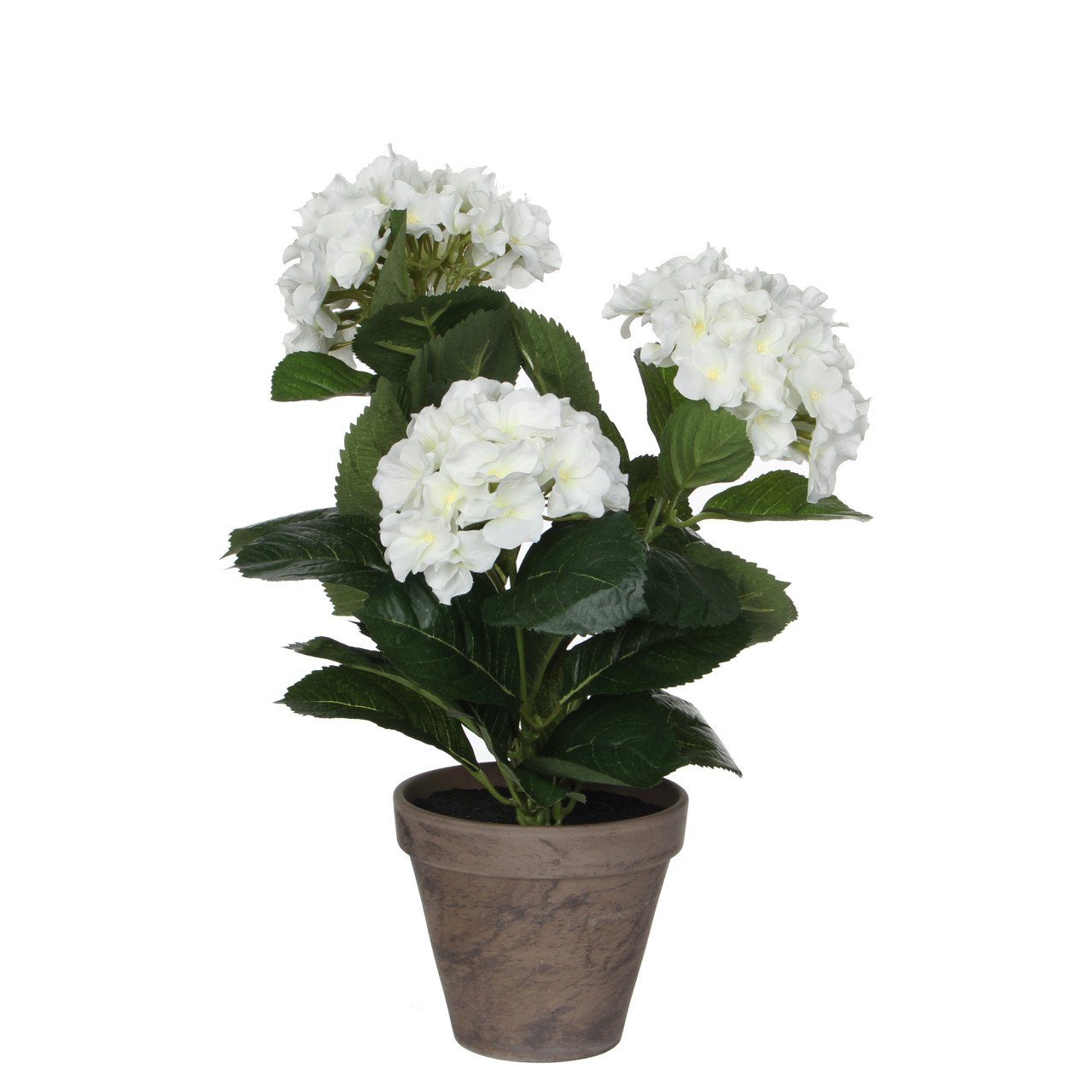 Kunstpflanze Mica Kunstpflanze Hortensie im Topf weiß, 40 x 35