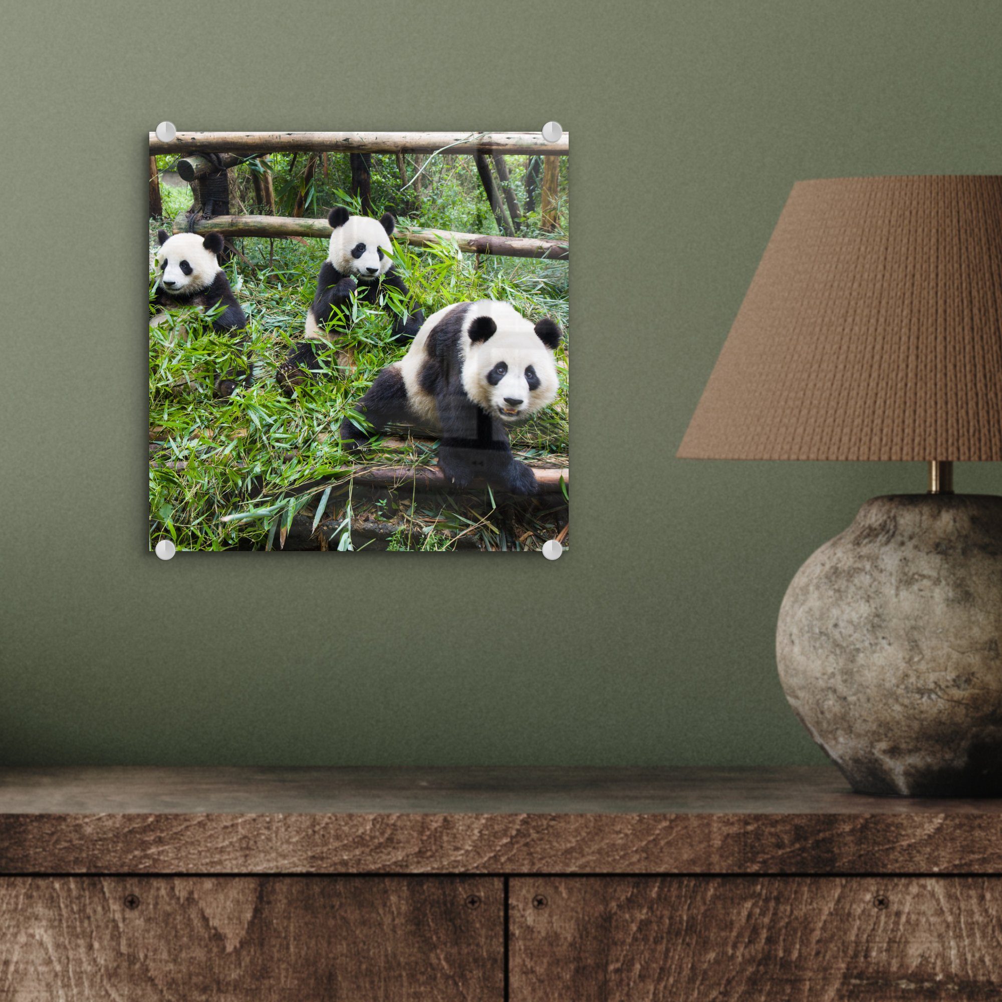 - Glasbilder (1 MuchoWow Foto Glas Bambus St), Bilder Wanddekoration - auf Glas auf Acrylglasbild - - - Wandbild Blätter, Pandas