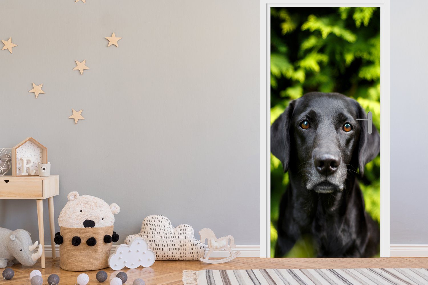 schwarzer Tür, 75x205 der für St), Türtapete Türaufkleber, bedruckt, inmitten Labrador Fototapete Retriever cm Matt, grünen (1 Ein MuchoWow Blätter,