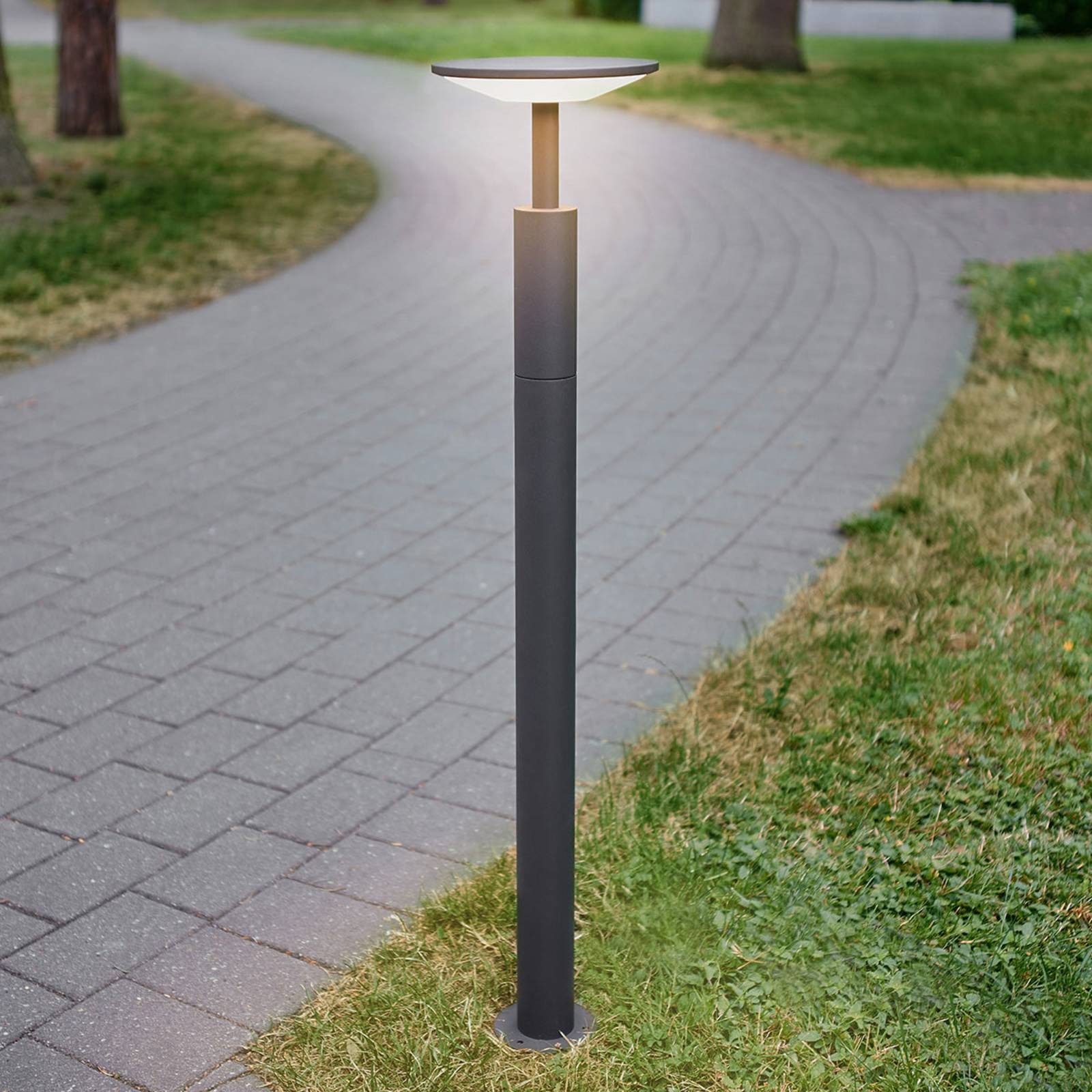 Lucande LED-Wegeleuchte Fenia, 100 cm, anthrazit, IP65 günstig online kaufen