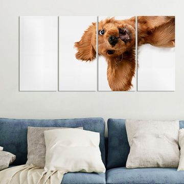 DEQORI Glasbild 'Hund reißt Augen auf', 'Hund reißt Augen auf', Glas Wandbild Bild schwebend modern