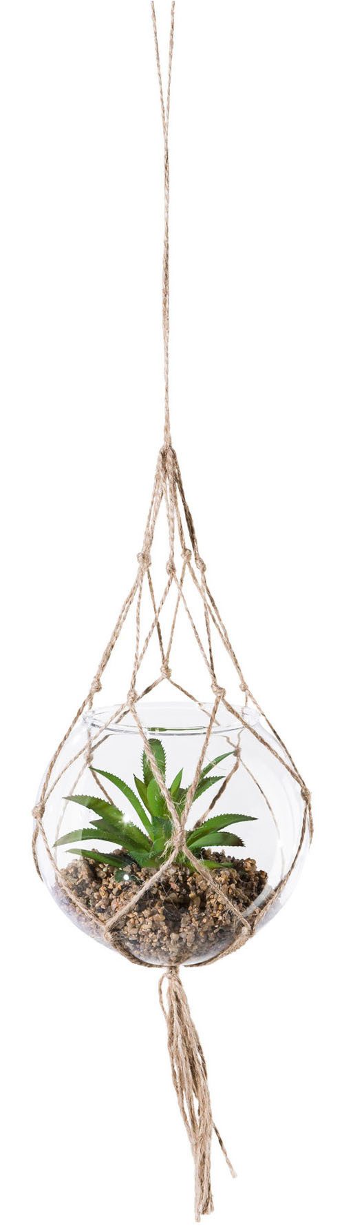 Kunstpflanze Sukkulenten, Creativ green, Höhe 11 günstig online kaufen