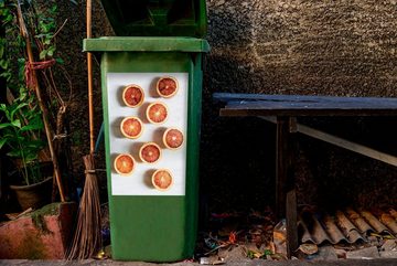 MuchoWow Wandsticker Obst - Zitrusfrüchte - Marmor (1 St), Mülleimer-aufkleber, Mülltonne, Sticker, Container, Abfalbehälter