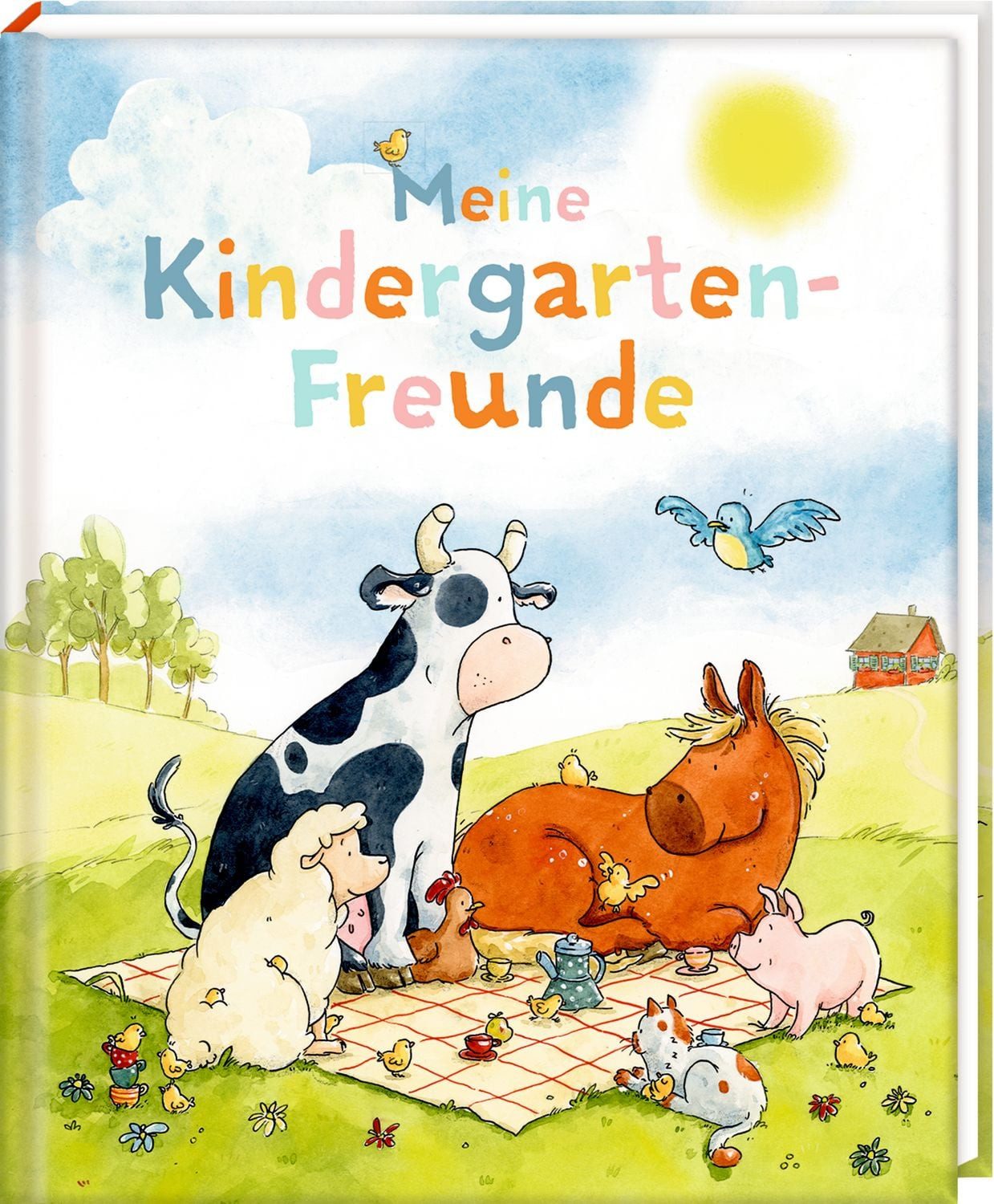 Coppenrath Wandkalender Freundebuch – Meine Kindergarten-Freunde
