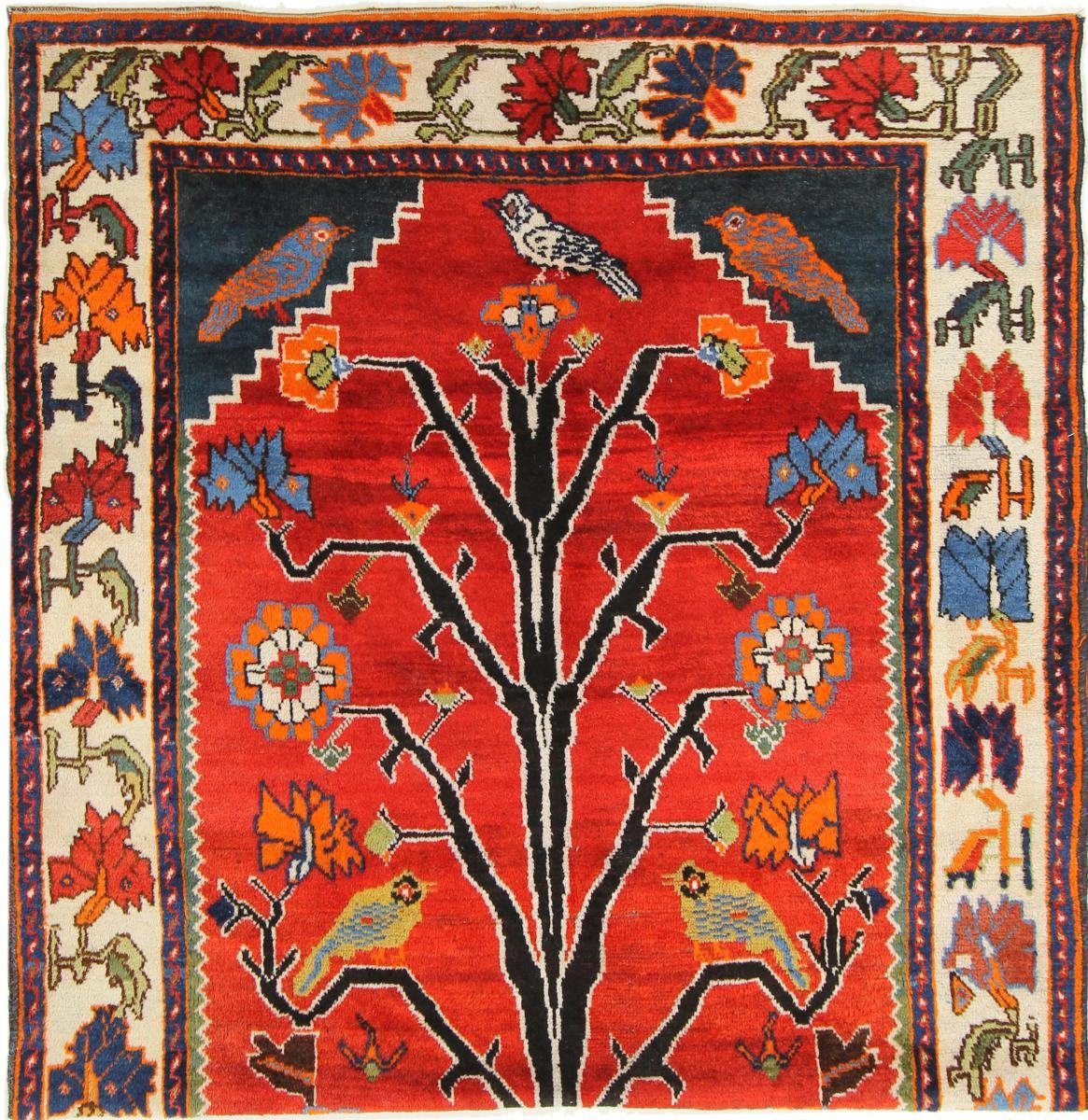 Orientteppich Shiraz 143x143 Handgeknüpfter Orientteppich / Perserteppich, Nain Trading, rechteckig, Höhe: 10 mm