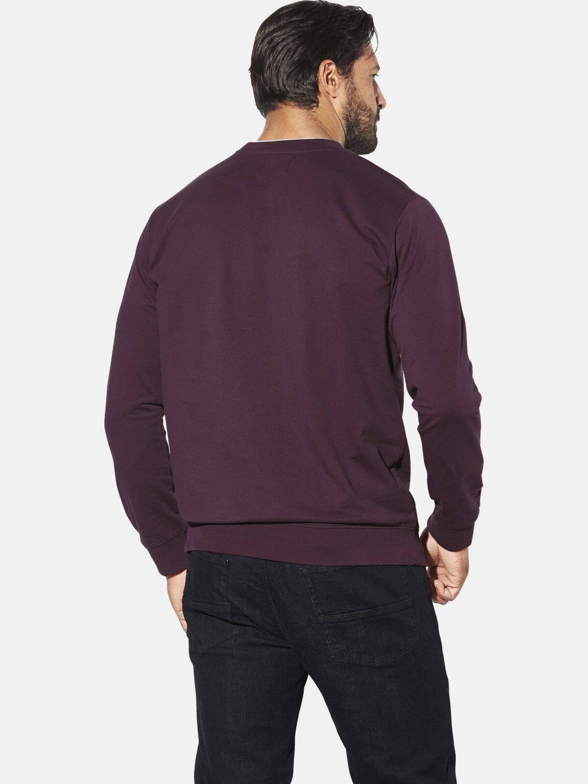 Jan Vanderstorm Sweatshirt LINDSKOV mit nordischem Aufdruck günstig online kaufen