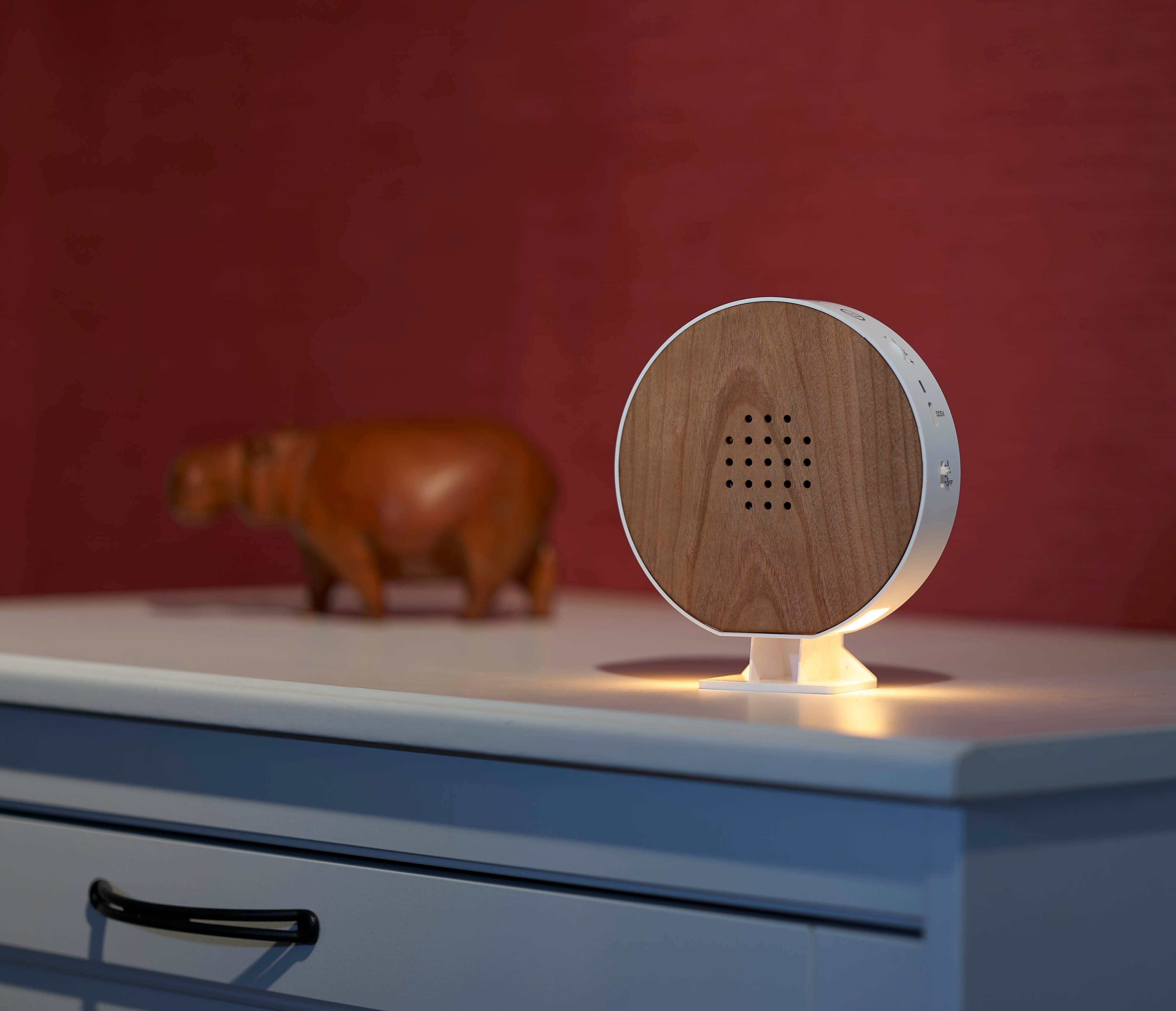 Northpoint LED Dekolicht Naturgeräuschebox Vogelzwitscher Bewegungsmelder Licht Aufladbar – Bild 4 von 5
