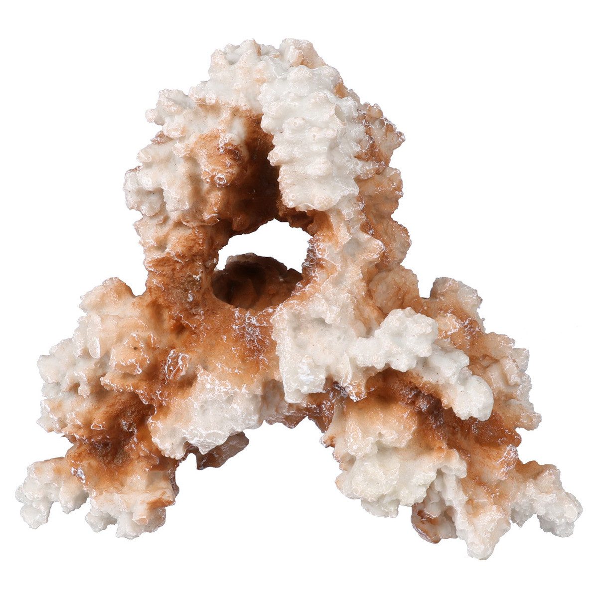 Aquariendeko Aquariumdekoration Koralle