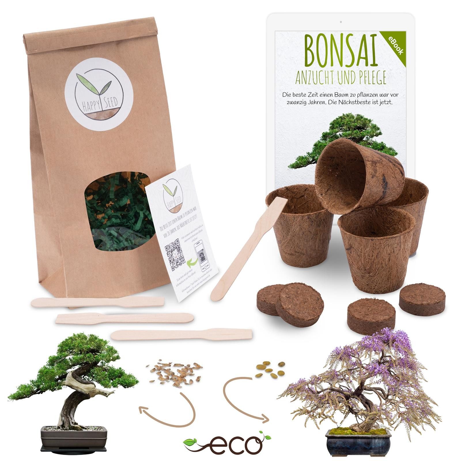 Blumensamen Bonsai Anzuchtset inkl. eBook - Afrik. Blauregen + Austr. Kiefer