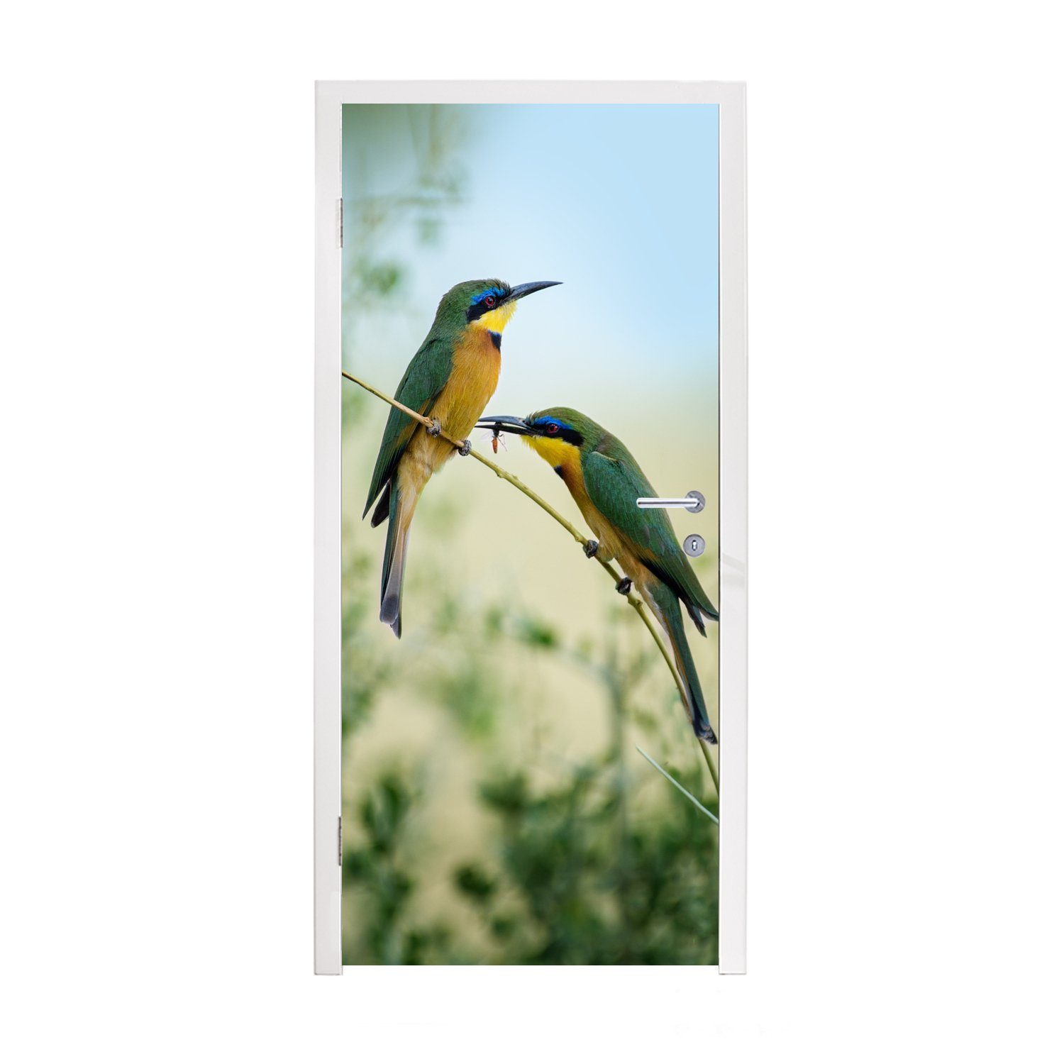 MuchoWow Türtapete Zwei Zwergbienenfresser vor einem bunten und unscharfen Hintergrund, Matt, bedruckt, (1 St), Fototapete für Tür, Türaufkleber, 75x205 cm