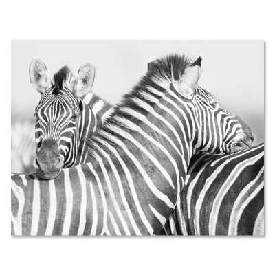 wandmotiv24 Leinwandbild Schwarz-Weiß, Zebra, Schwarz & Weiss (1 St), Wandbild, Wanddeko, Leinwandbilder in versch. Größen