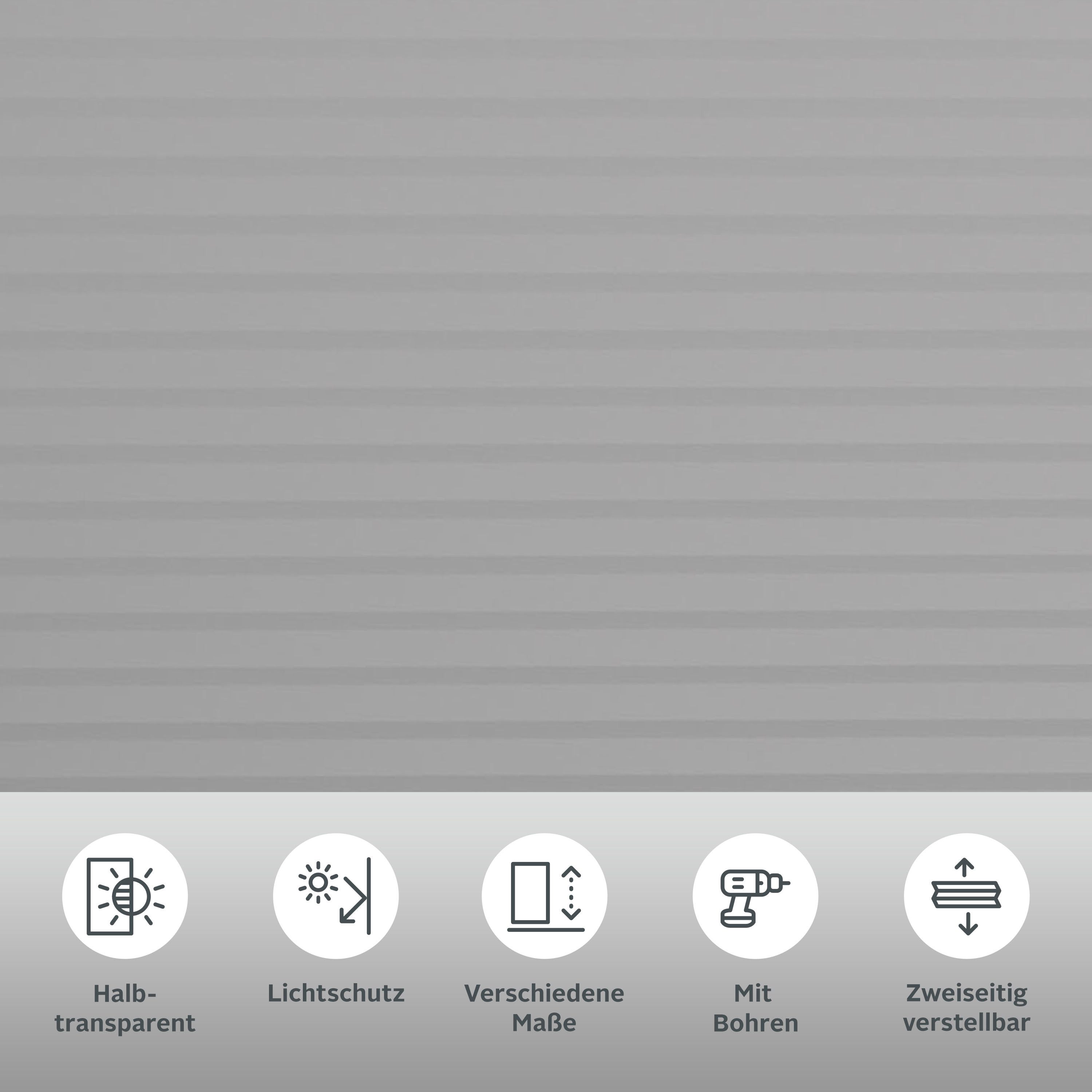 my home Insektenschutzplissee Mika, Lichtschutz, mit Bohren, in Führungsschienen, verschraubt, Insektenschutz und Wabenplissee in einem