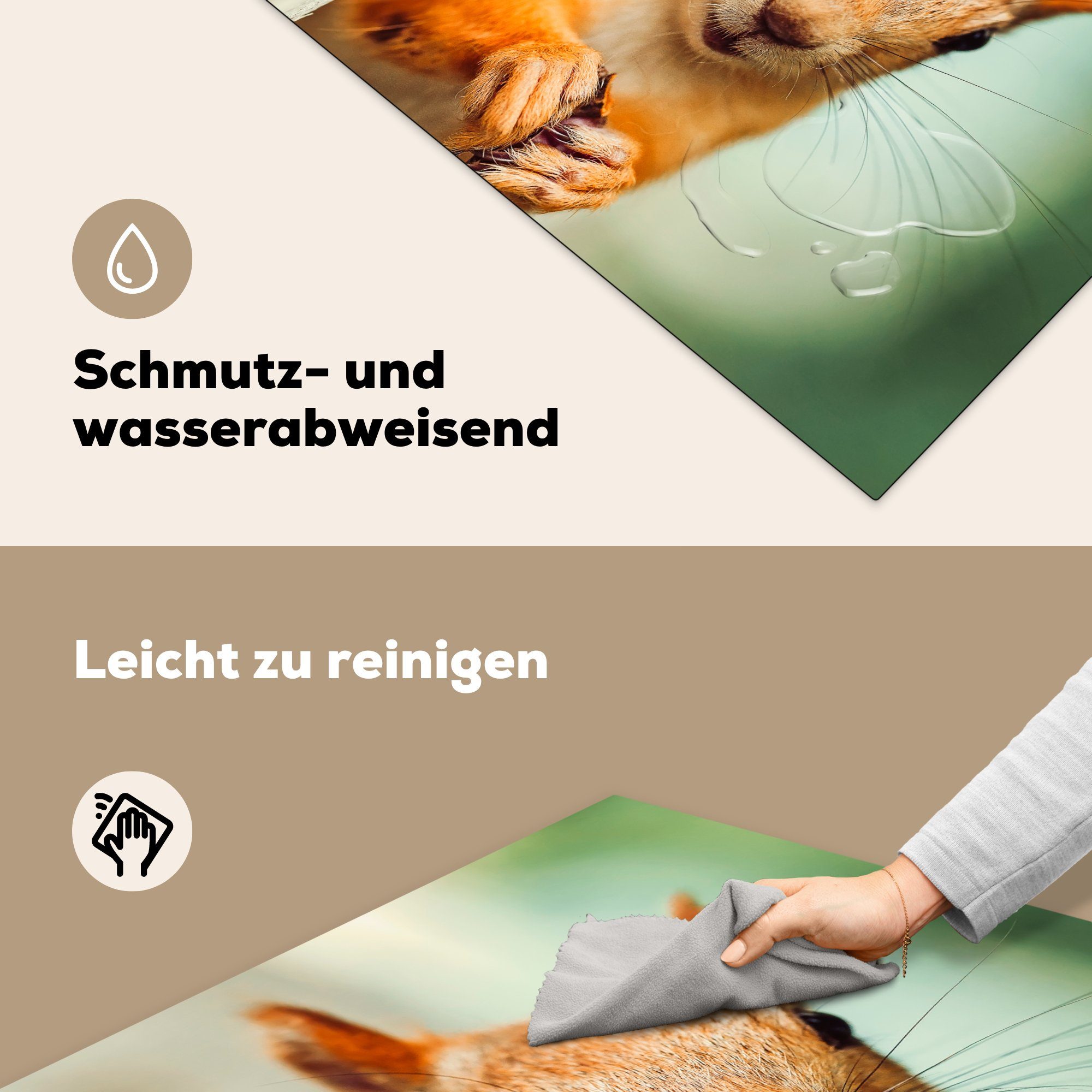 Jungen - MuchoWow Eichhörnchen - - Vinyl, Mädchen - - Arbeitsplatte für Ceranfeldabdeckung, cm, Lustig 78x78 Kind, tlg), küche (1 Nuss Herdblende-/Abdeckplatte Kinder -