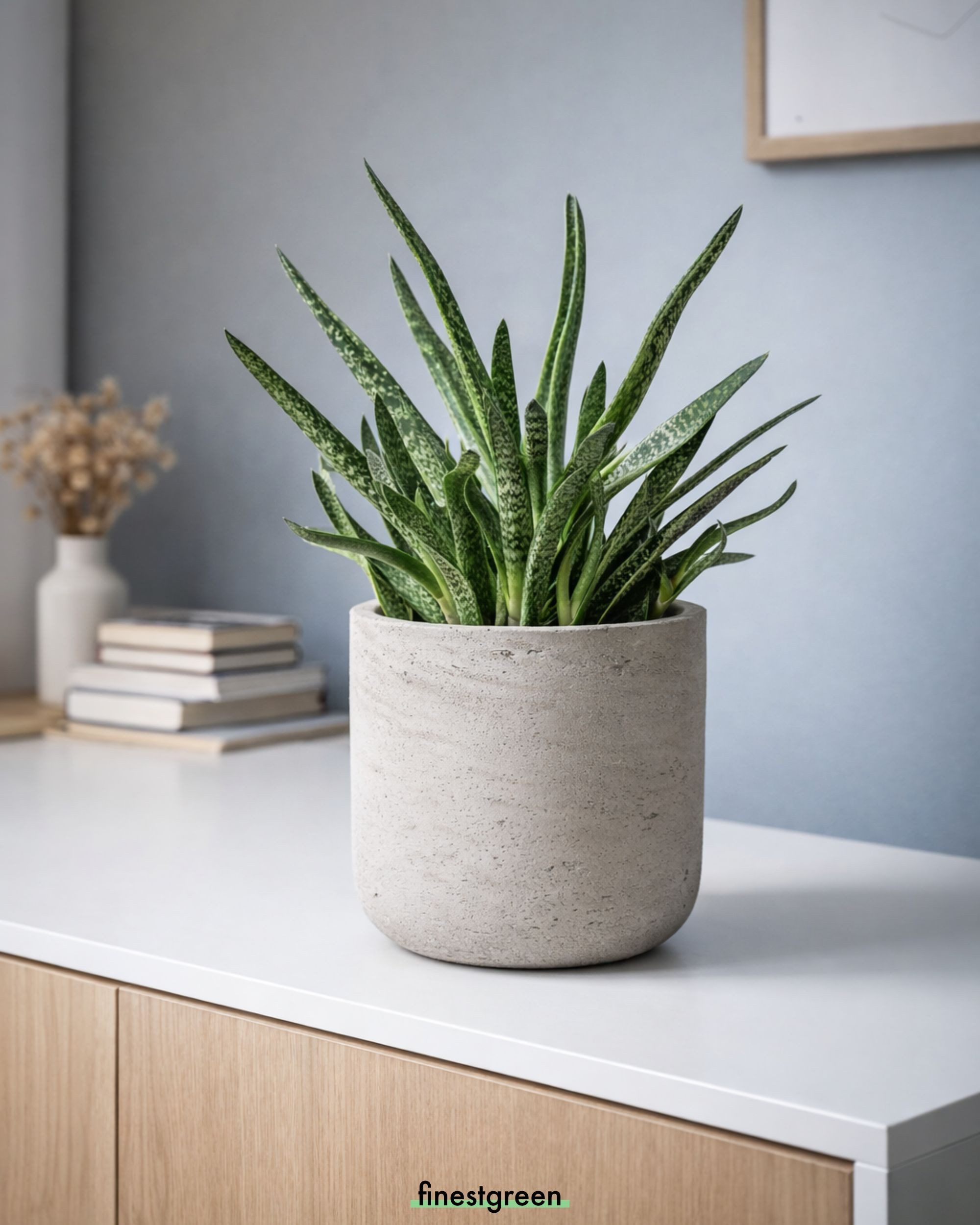 finestgreen Pflanzkübel Charlie, Fiberclay Pflanzkübel in Beton-Optik für Innen & Außen