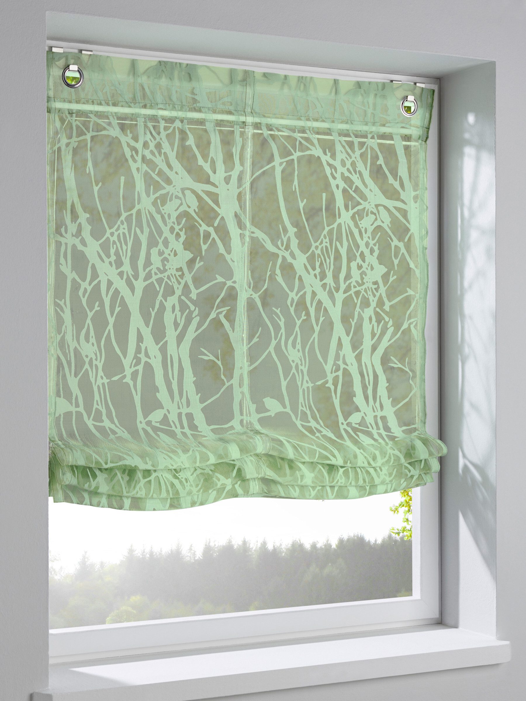 Rollo Raffrollo ., heine, transparent, Hakenaufhängung