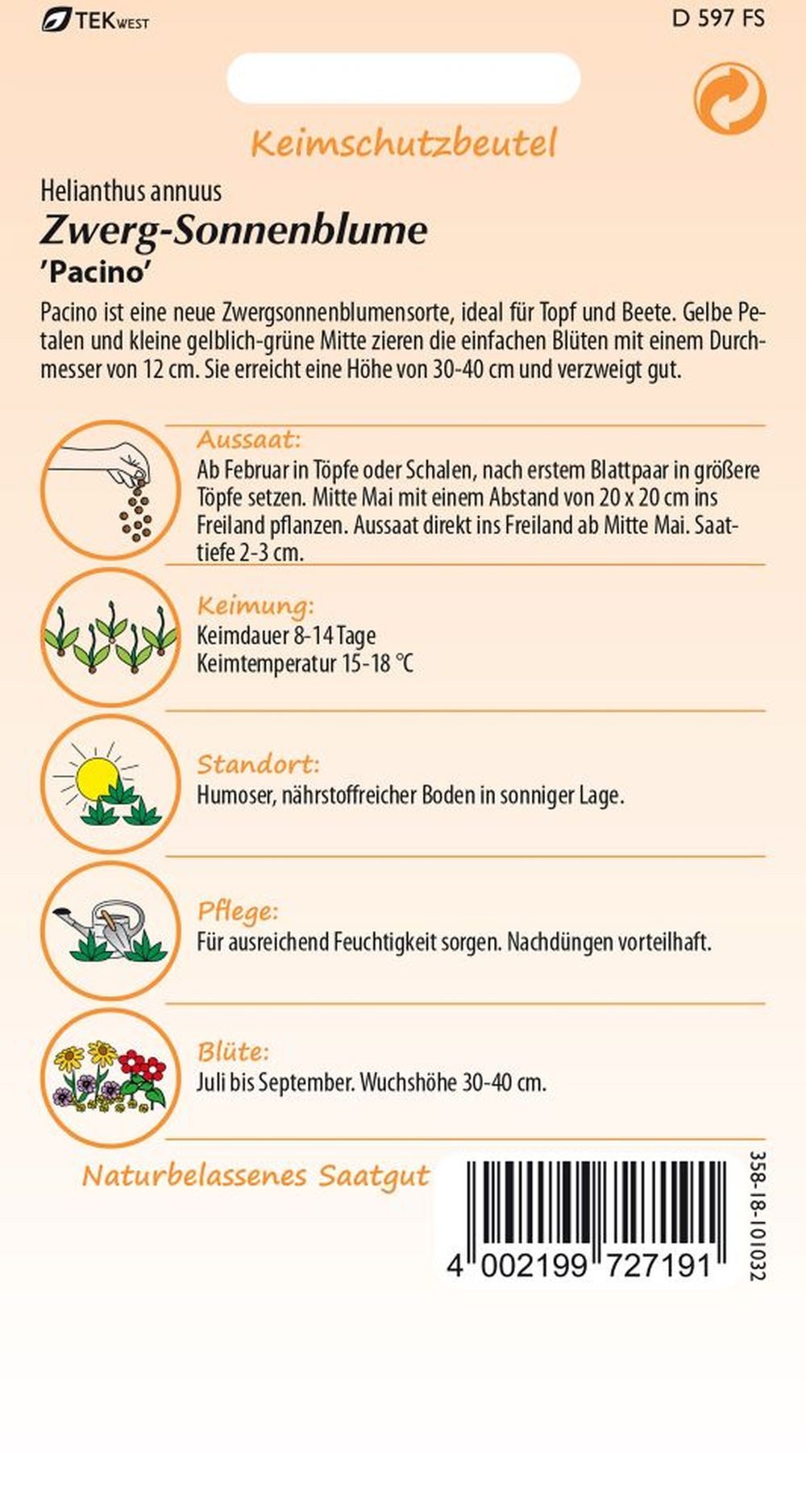 SAMEN PFANN Blumensamen Sonnenblume, Zwergsonnenblume, Pacino - Saatgut Son günstig online kaufen
