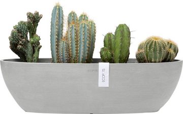 ECOPOTS Blumentopf SOFIA LONG White Grey, BxTxH: 14x14x16 cm