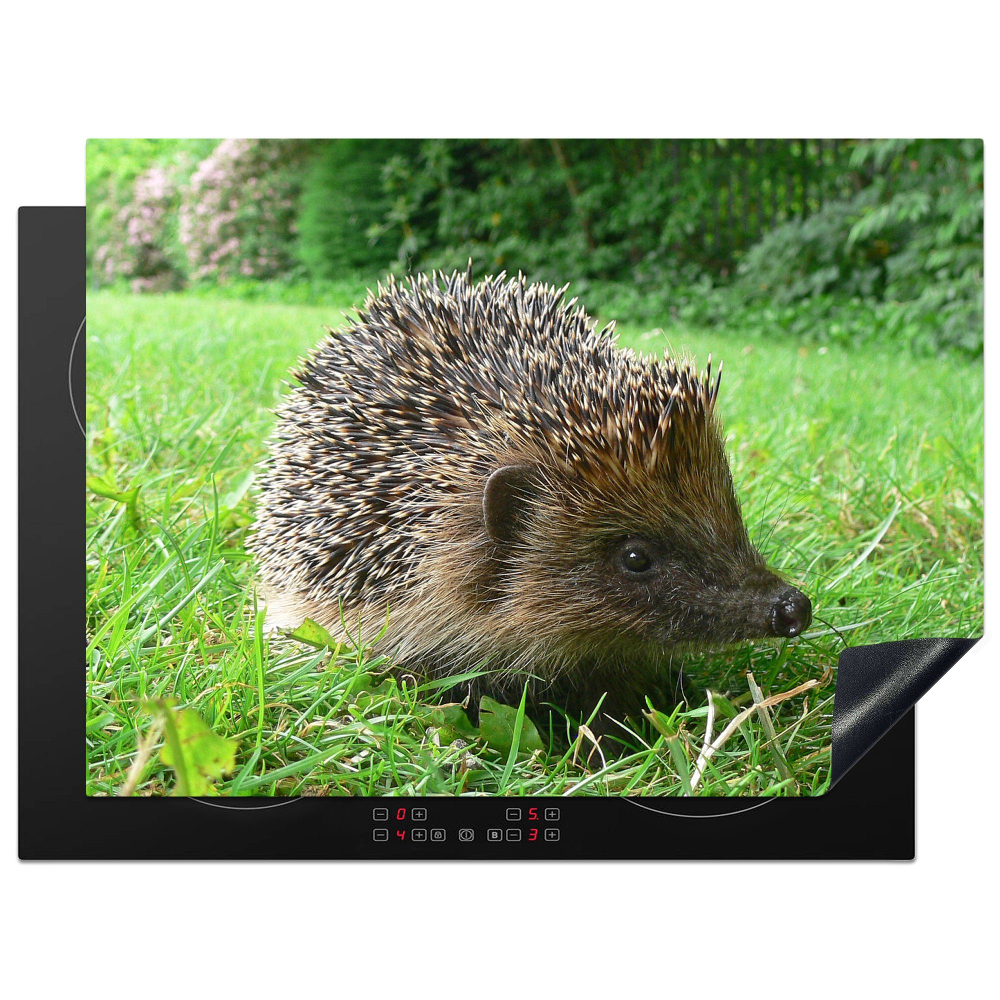 MuchoWow Herdblende-/Abdeckplatte Igel Arbeitsfläche Ceranfeldabdeckung 70x52 cm, Vinyl, (1 Garten, im Mobile nutzbar, tlg)