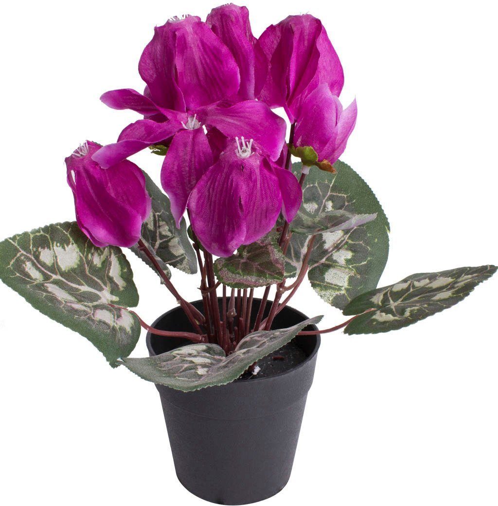 Kunstblume Alpenveilchen, Botanic-Haus, Höhe 24 cm