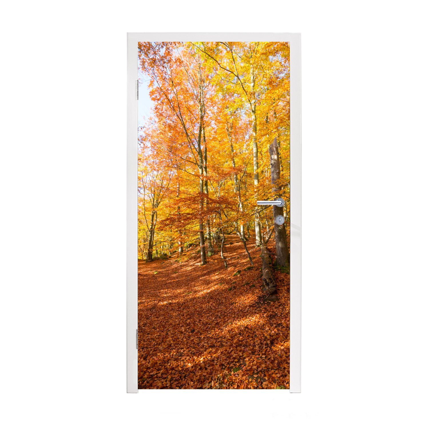 Gelb bedruckt, Türaufkleber, Tür, gefärbter für Söderåsen-Nationalpark Schweden, Türtapete (1 St), Matt, Fototapete im in 75x205 cm MuchoWow Buchenwald