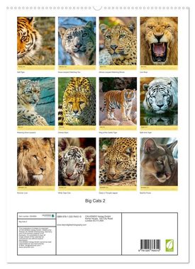 CALVENDO Wandkalender Big Cats2 (Premium-Calendar 2023 DIN A2 Portrait)