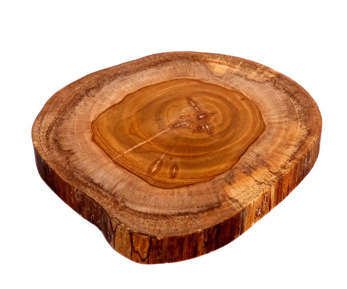 Brillibrum Glasuntersetzer Design Holz Baumscheibe mit Holztablett Tablett 3er Echtholz Untersetzer Jahresringen Tassenuntersetzer, 1-tlg. Set aus Brett