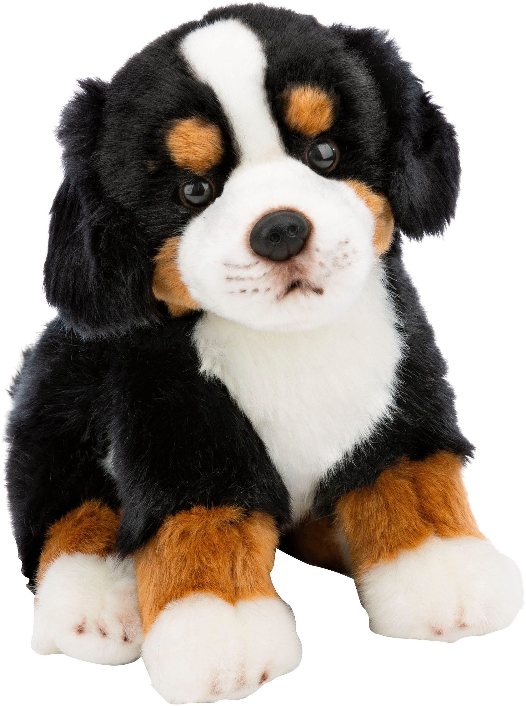 Nici Kuscheltier Lifelike, Hund Berner Sennenhund, 20 cm