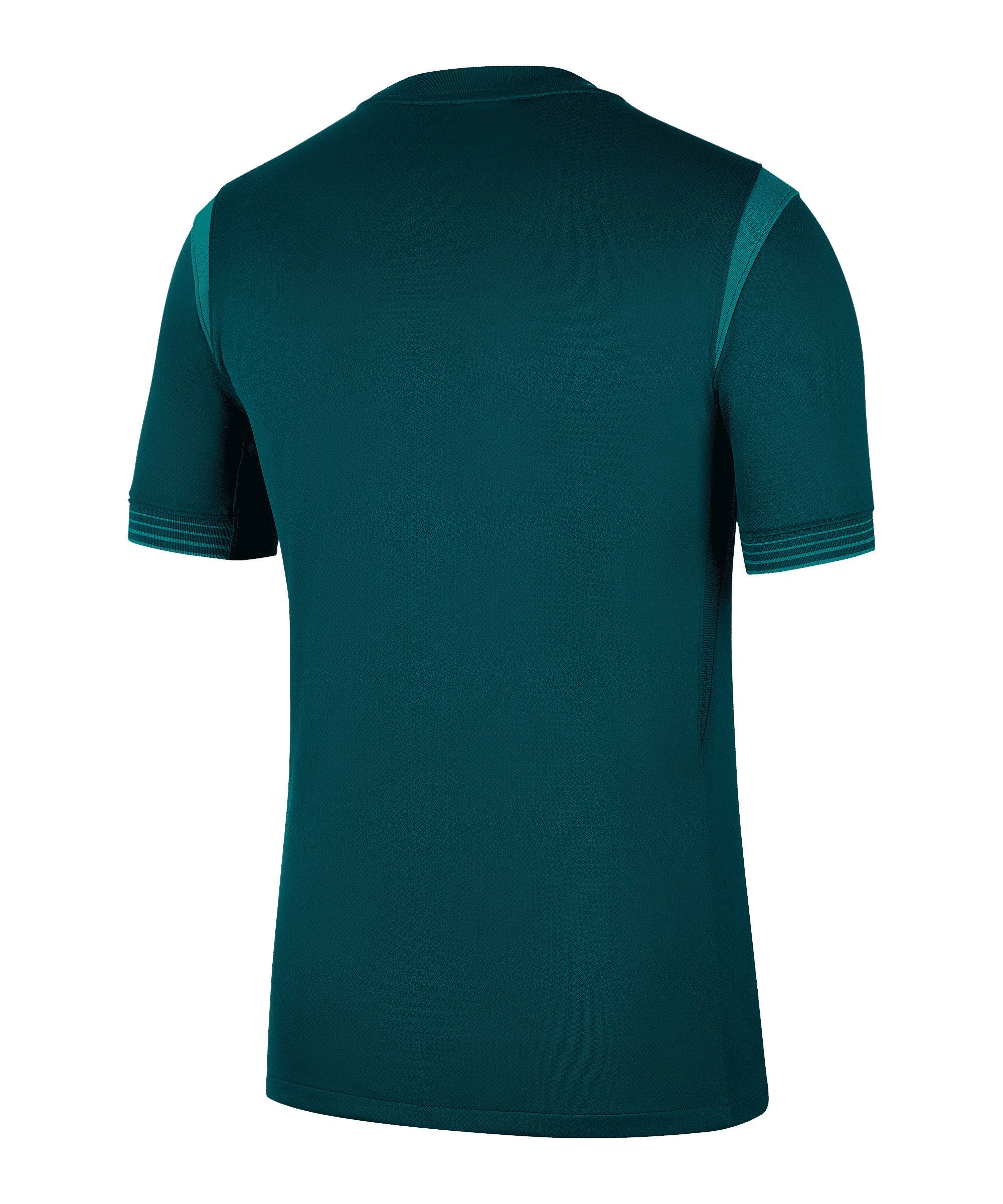 Nike Fußballtrikot Nike Performance Nigeria Trikot Home 2025/2026 Teamsport