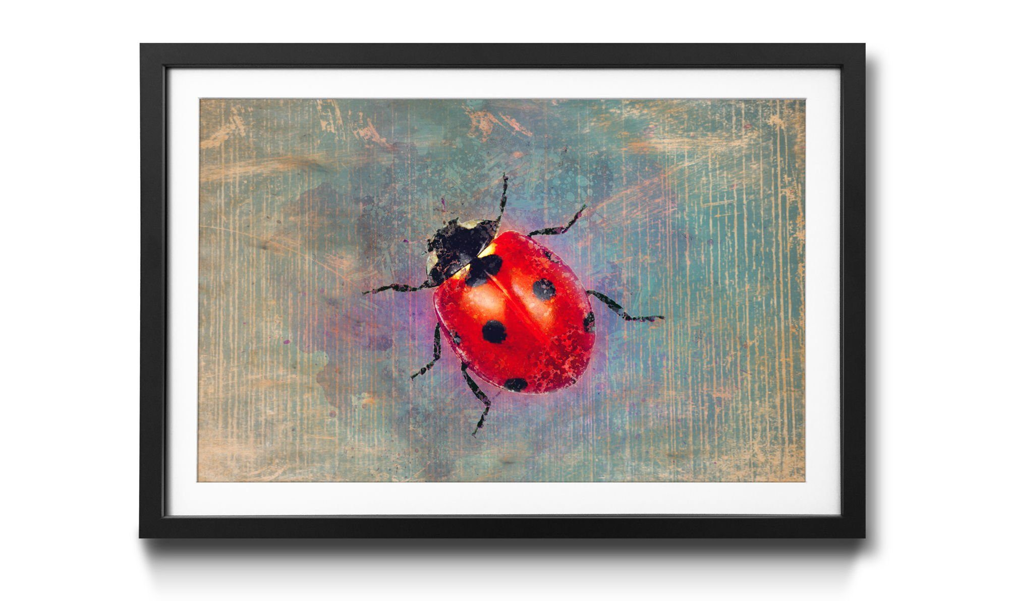 WandbilderXXL Bild mit Rahmen Ladybug, Marienkäfer, Wandbild, in 4 Größen erhältlich