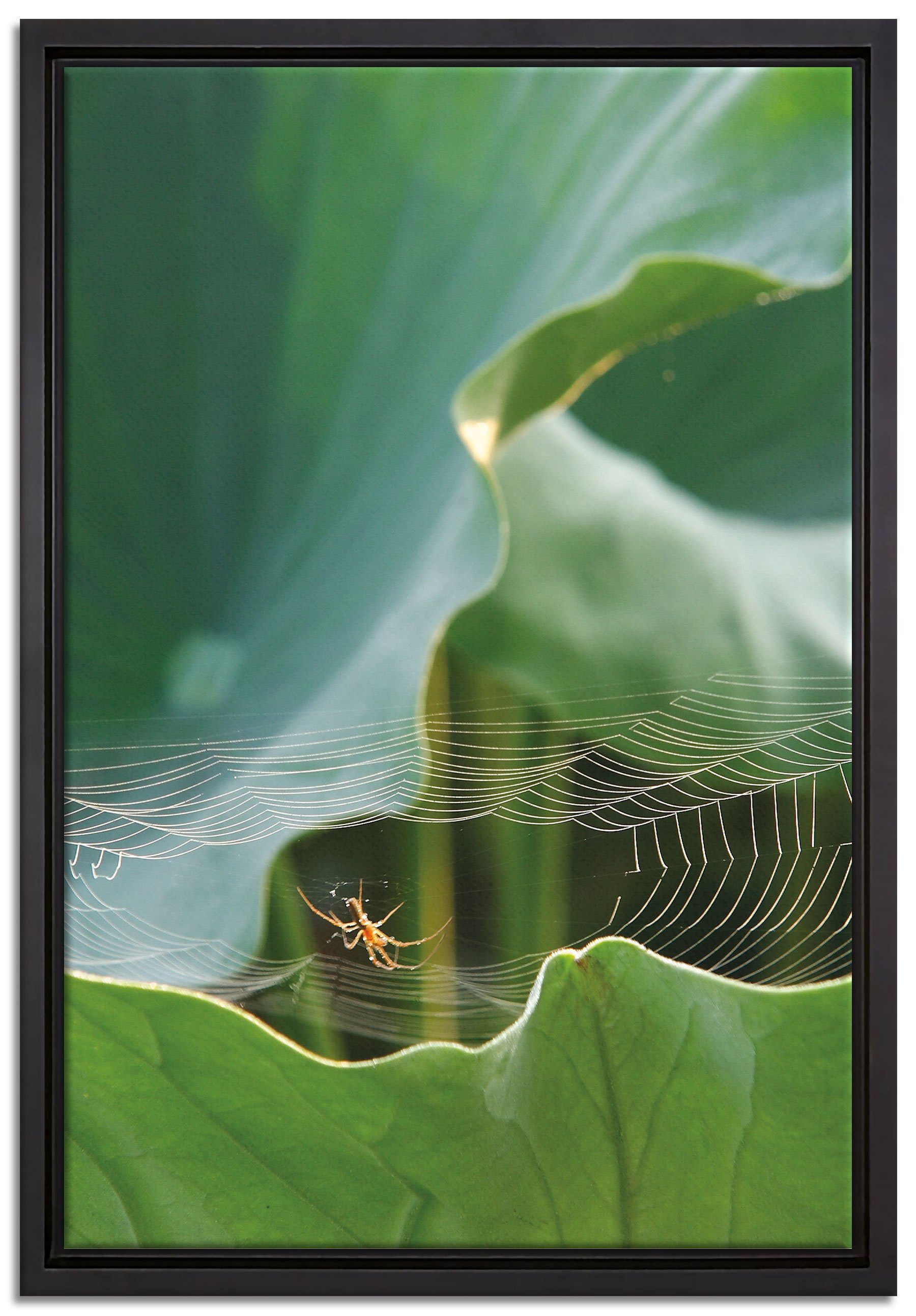 Pixxprint Leinwandbild Spinnennetz zwischen Blättern, Wanddekoration (1 St), Leinwandbild fertig bespannt, in einem Schattenfugen-Bilderrahmen gefasst, inkl. Zackenaufhänger
