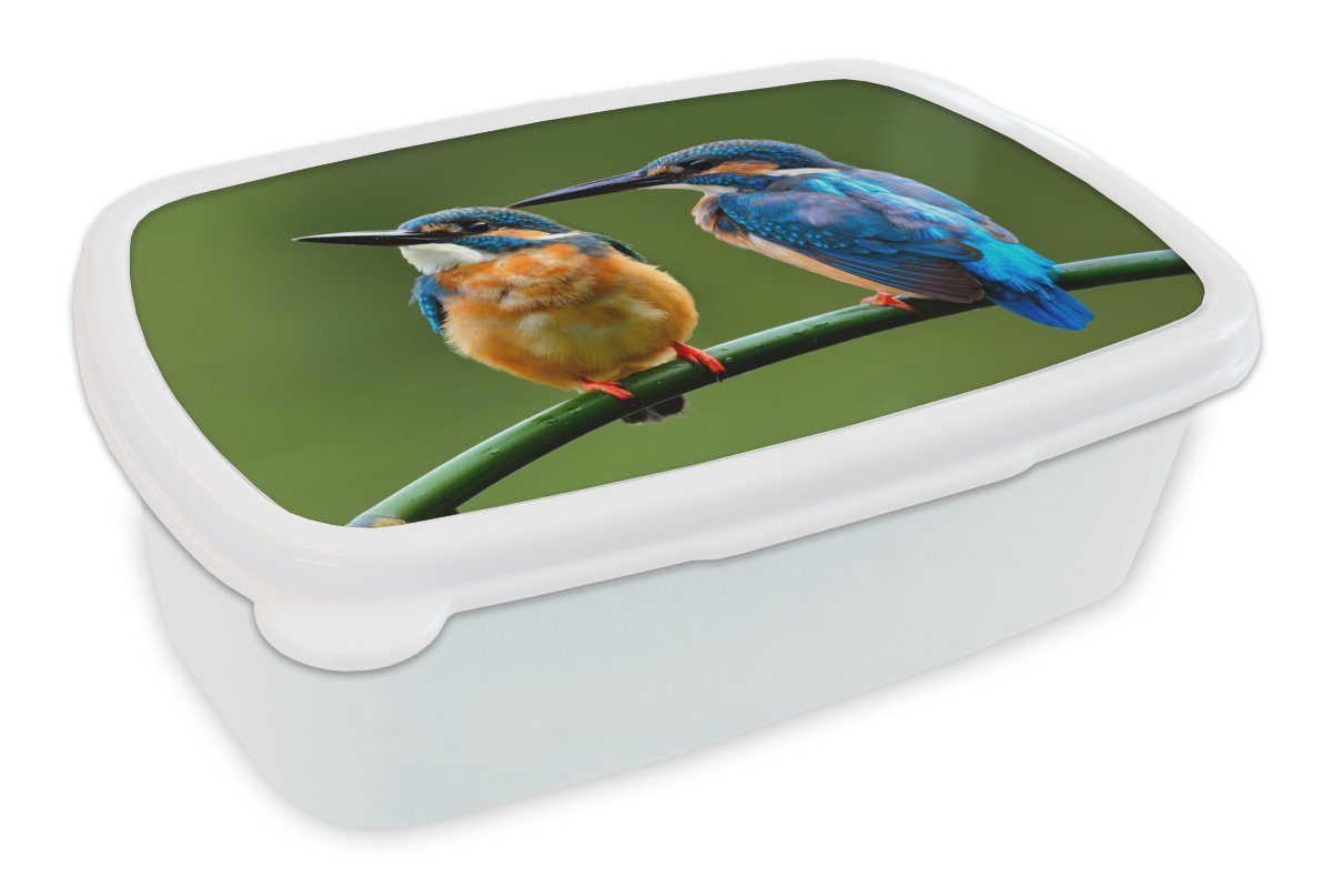 MuchoWow Lunchbox für Kunststoff, Brotbox Jungs Schilf Erwachsene, Kinder für und Eisvogel, - Brotdose, Liebe Mädchen und (2-tlg), weiß 