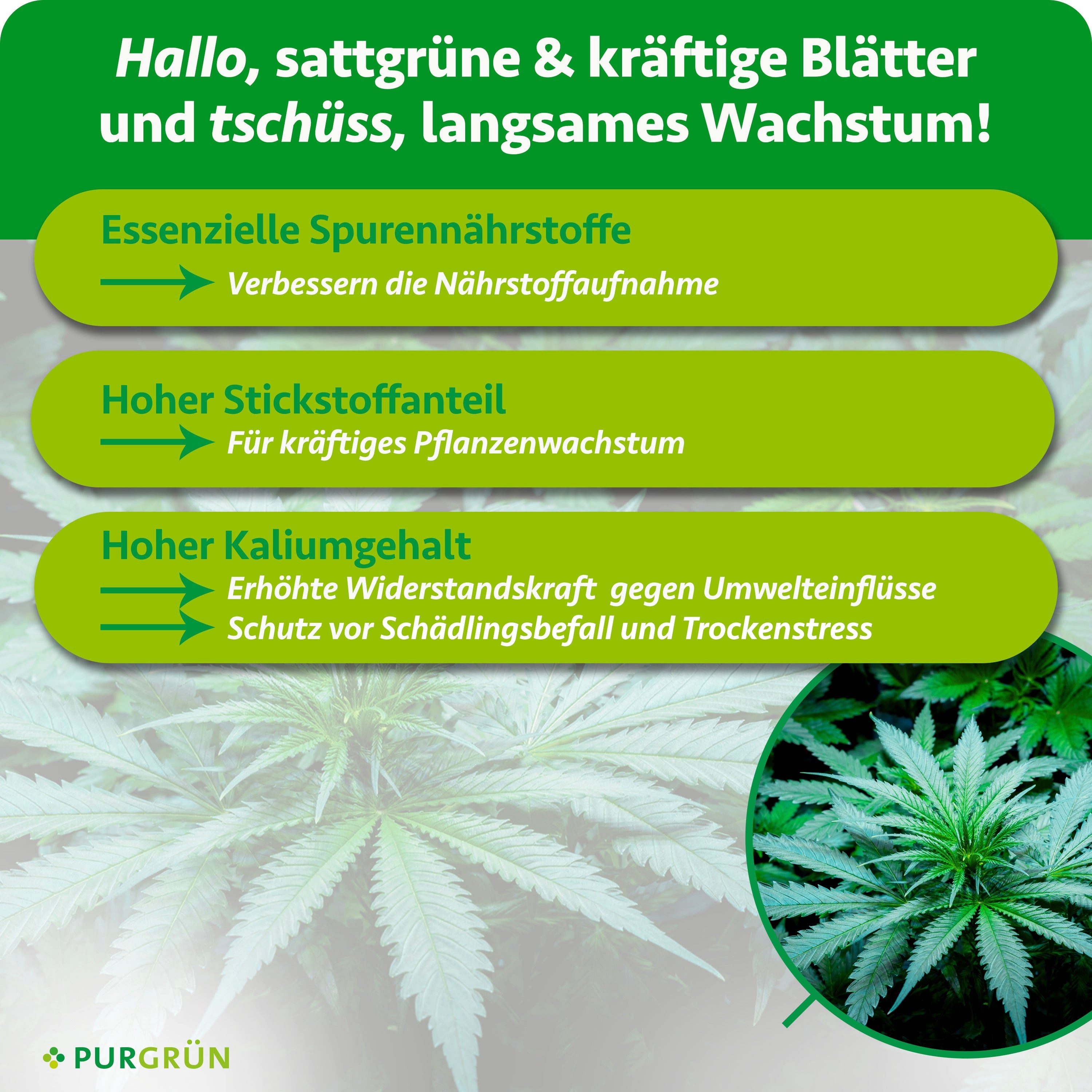 Purgrün Pflanzendünger Grow Dünger, NPK 7+3+6, für Indoor & Outdoor, 1L, Flüssigdünger, 1-St., 1 Liter