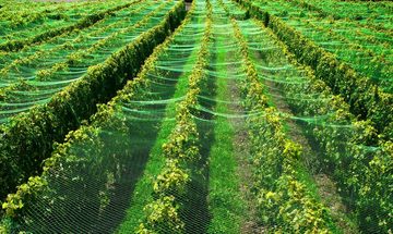 Aquagart Bodenschutzvlies Teichnetz 4m x 10m Laubnetz Silonetz Laubschutznetz Vogelschutznetz