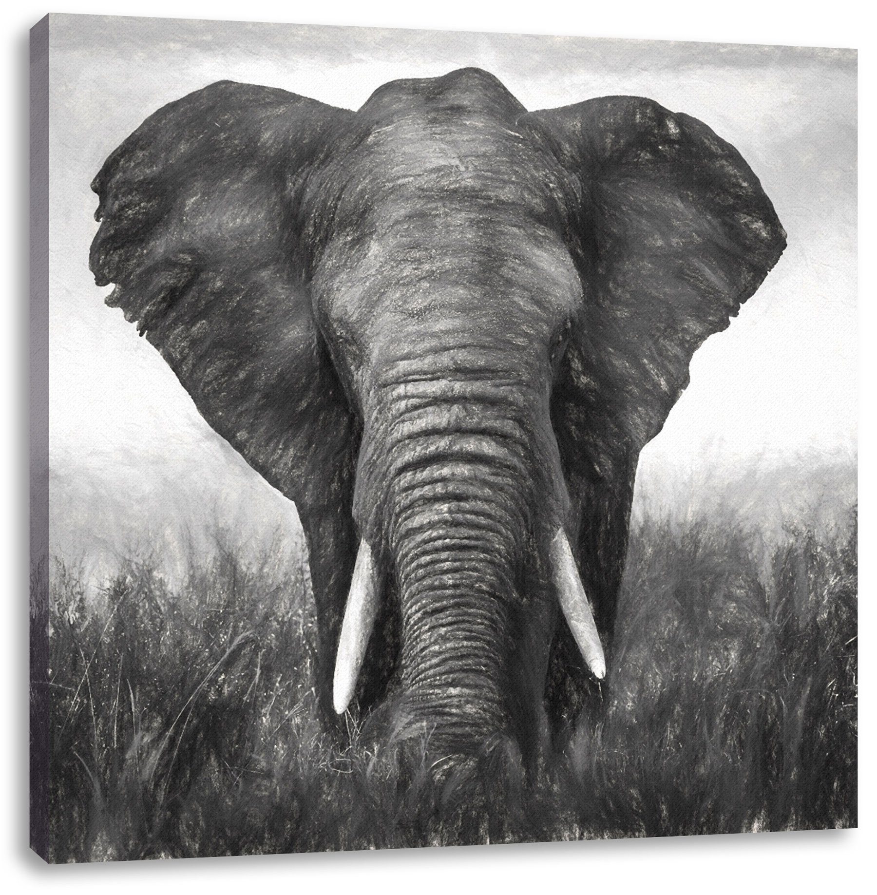Pixxprint Leinwandbild prachtvoller Elefant, prachtvoller Elefant (1 St), Leinwandbild fertig bespannt, inkl. Zackenaufhänger