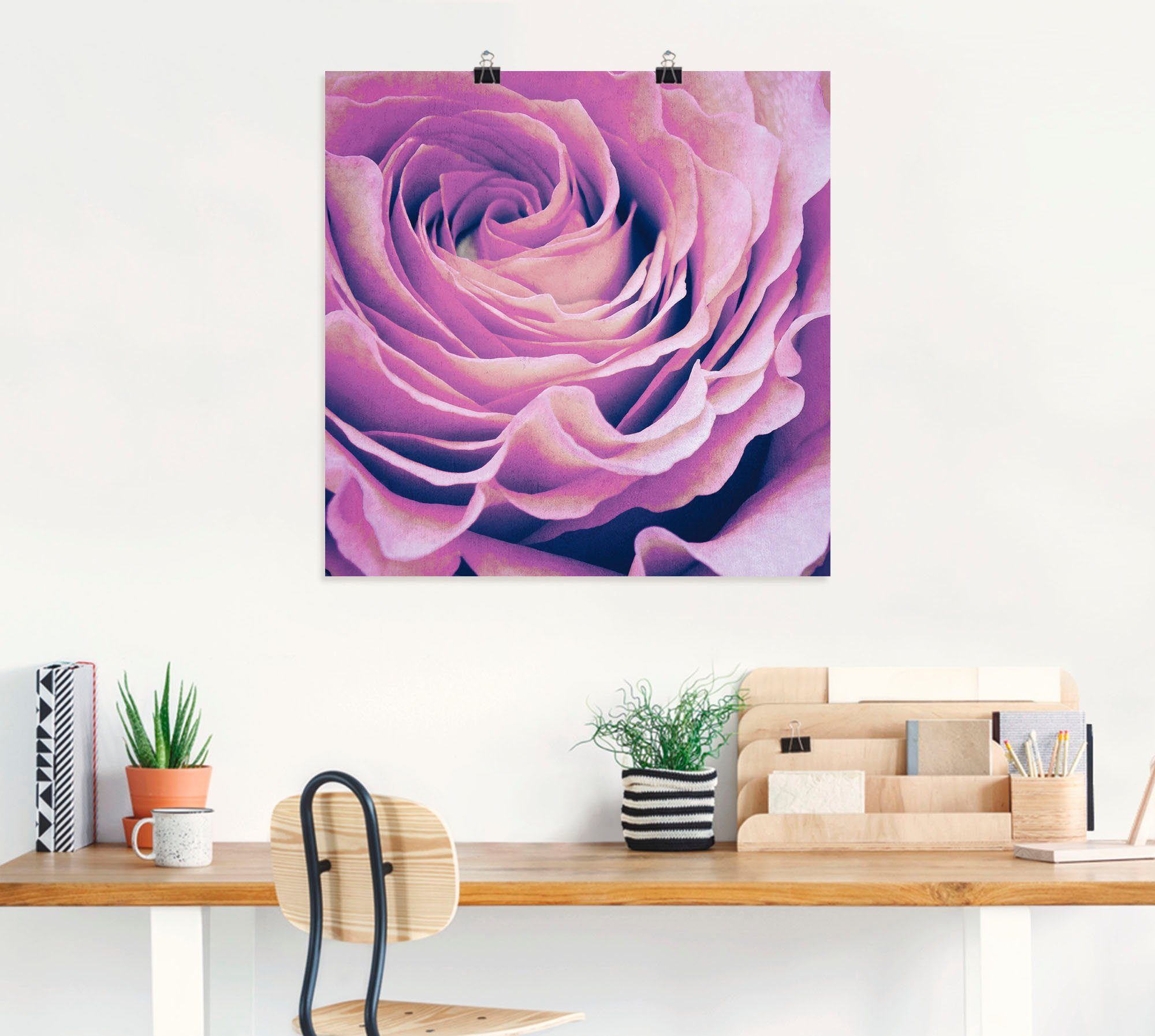 Artland Poster Lila Rose, Blumen (1 St), ohne Rahmen