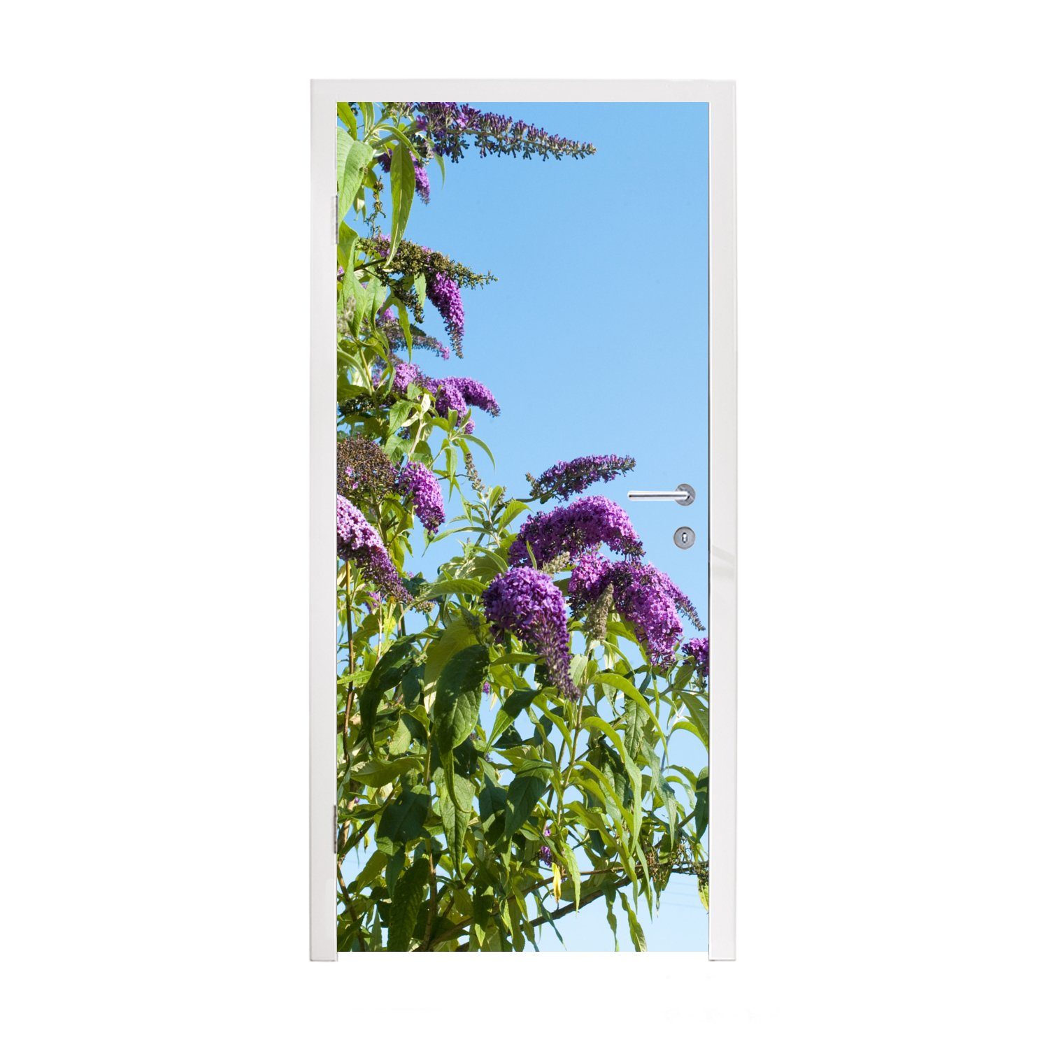 bedruckt, Tür, St), Türtapete Türaufkleber, für (1 MuchoWow gegen Matt, blauen Fototapete cm Schmetterlingsstrauch Himmel, 75x205