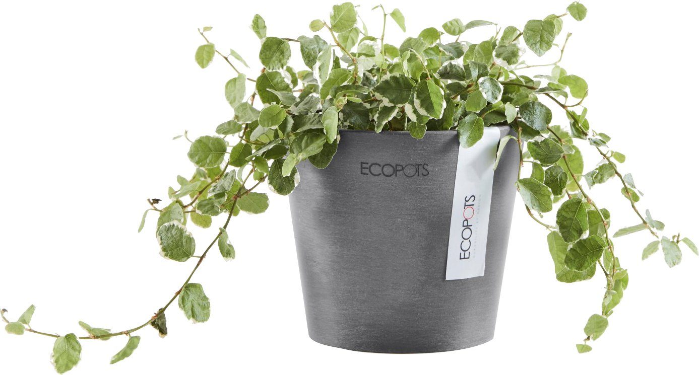 ECOPOTS Blumentopf AMSTERDAM Mini Grey, 10,5x10,5x9,2 cm BxTxH