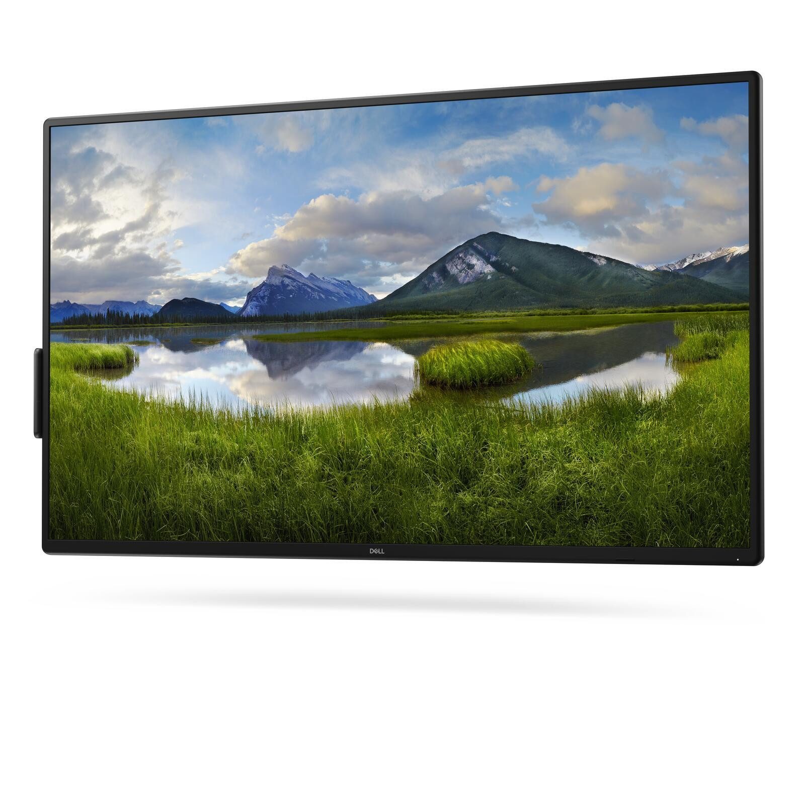 Dell LED-Monitor
