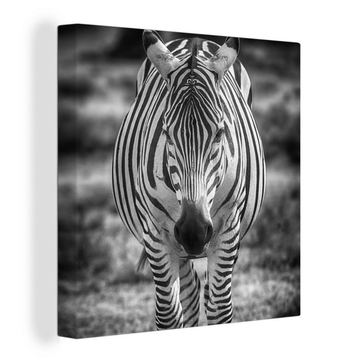 OneMillionCanvasses® Leinwandbild Zebra im Gras (1 St) Leinwand Bilder für Wohnzimmer Schlafzimmer