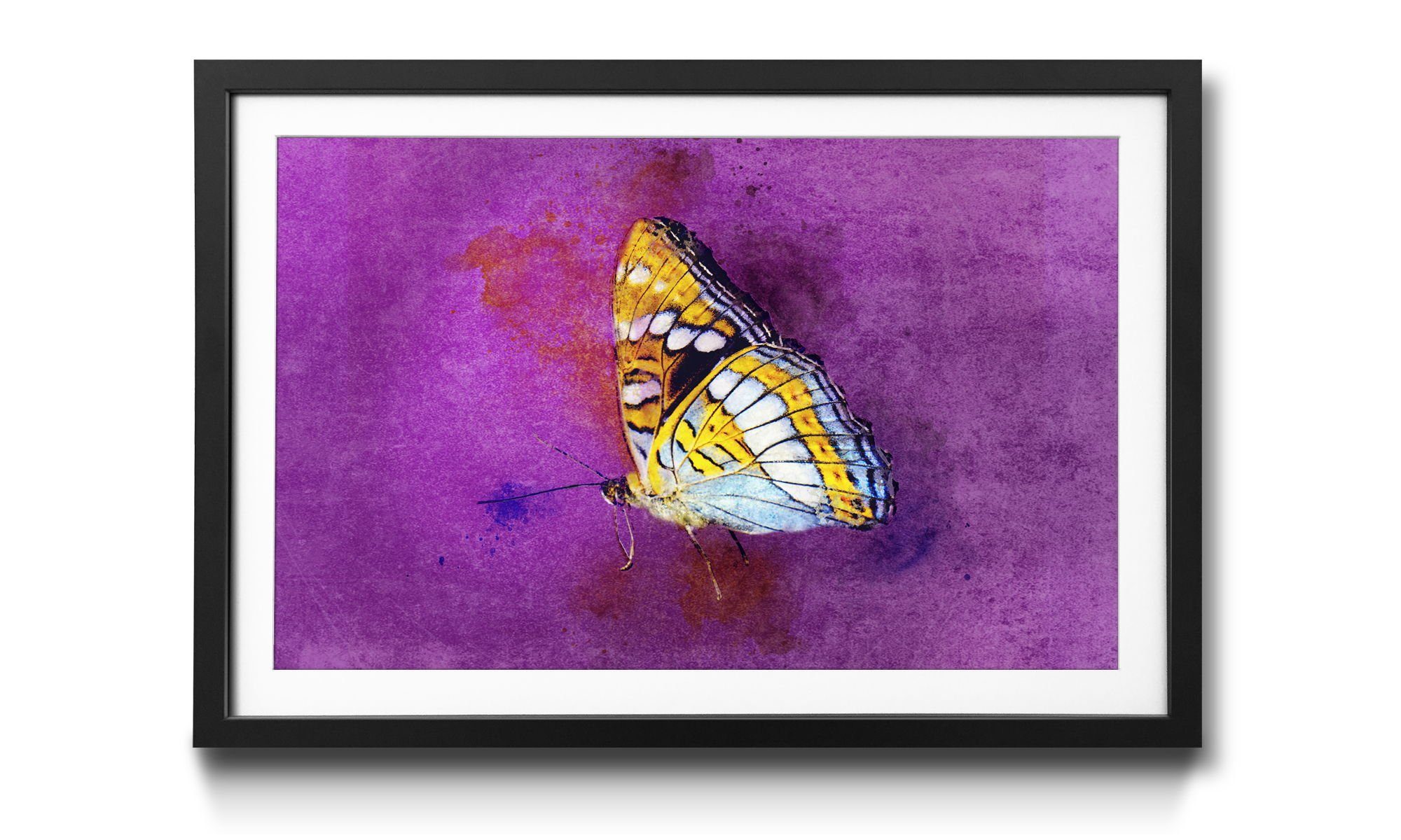 Schmetterling, mit Beauty, Fragile erhältlich WandbilderXXL Größen Bild Rahmen 4 in Wandbild,