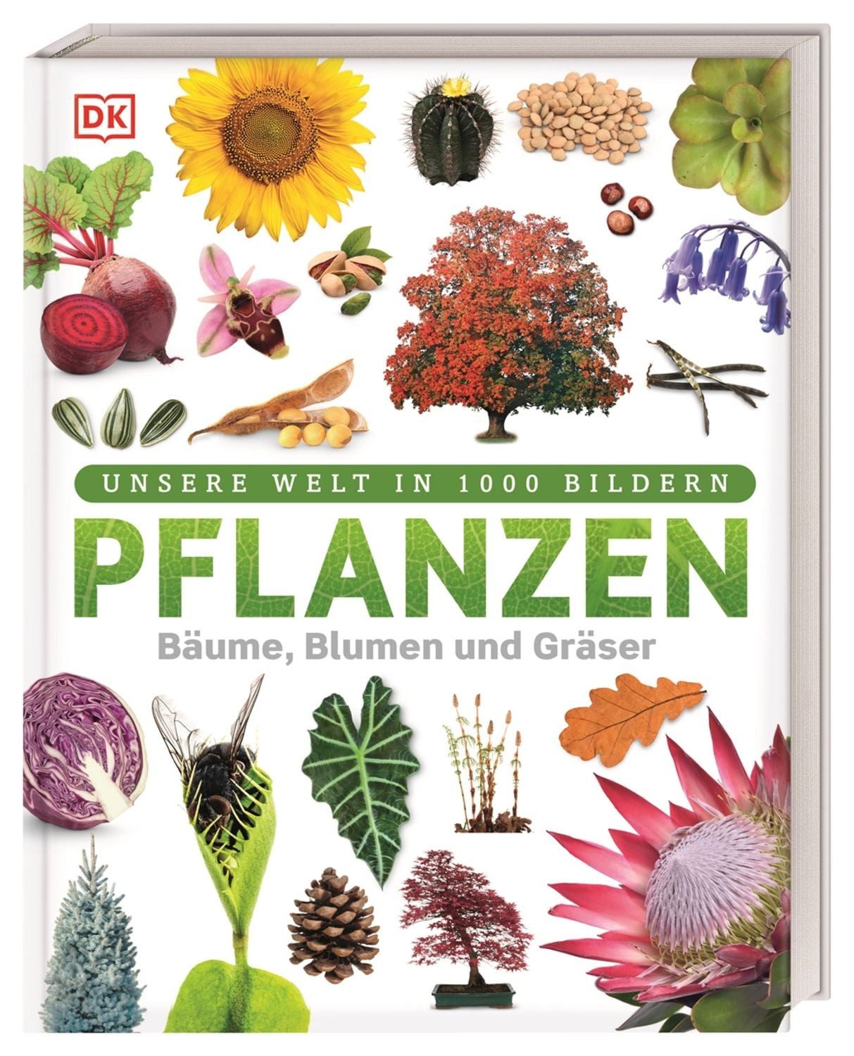 Unsere Welt in 1000 Bildern. Pflanzen / Sarah Jose